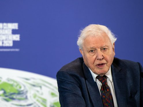 Sir David Attenborough (Chris J Ratcliffe/PA)