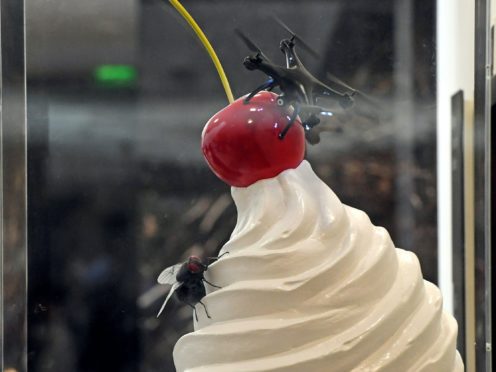 An artwork entitled The End by Heather Phillipson is unveiled on Trafalgar Square’s Fourth Plinth (David Parry/PA)