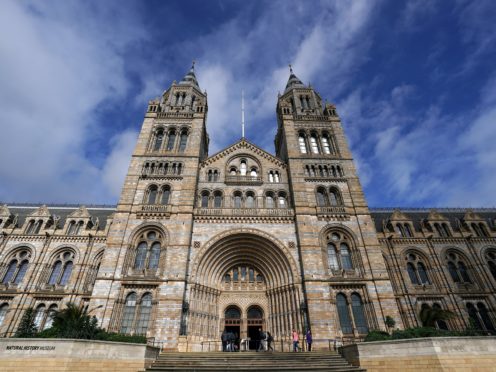 The Natural History Museum will reopen on August 5 (John Walton/PA)