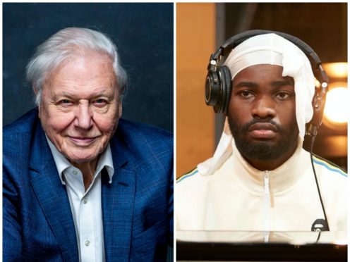 Sir David Attenborough and rapper Dave will unite for Planet Earth: A Celebration (BBC/PA)