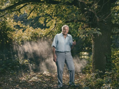 A Sir David Attenborough documentary examining the fragile state of the natural world will air on BBC One this month (Sam Barker/BBC/PA)