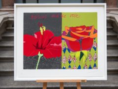 Hibiscus And The Rose by artist Yinka Shonibare (Dominic Lipinski/PA)
