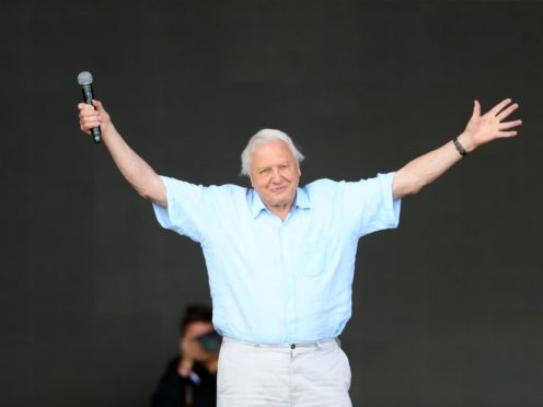 The Sir David Attenborough series had its first run in 2018 (Aaron Chown/PA)