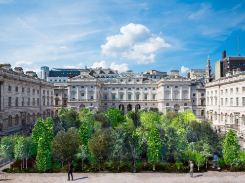 A ‘forest’ of 400 trees is to be planted at Somerset House as part of this year’s London Design Biennale. Render by Es Devlin Studio (Somerset House/Kevin Meredith)