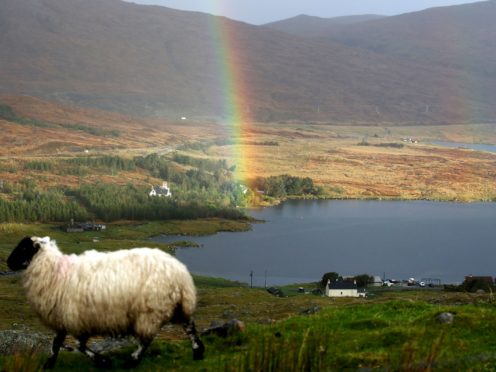 Ticks have become more prevalent on the Western Isles (Andrew Milligan/PA)