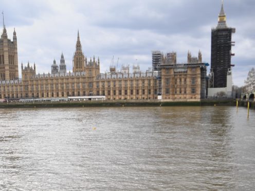 MPs voted 431 to 89, majority 342, in favour of the Abortion (Northern Ireland) Regulations 2021 (Victoria Jones/PA)