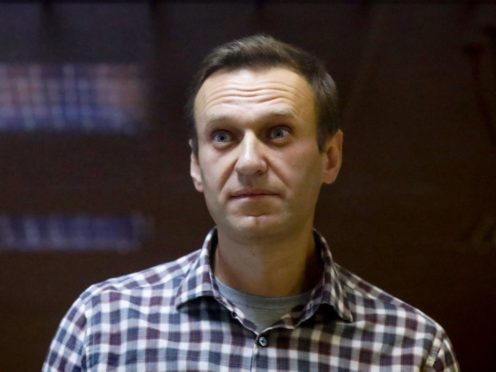 Russian opposition leader Alexei Navalny (Alexander Zemlianichenko/AP)