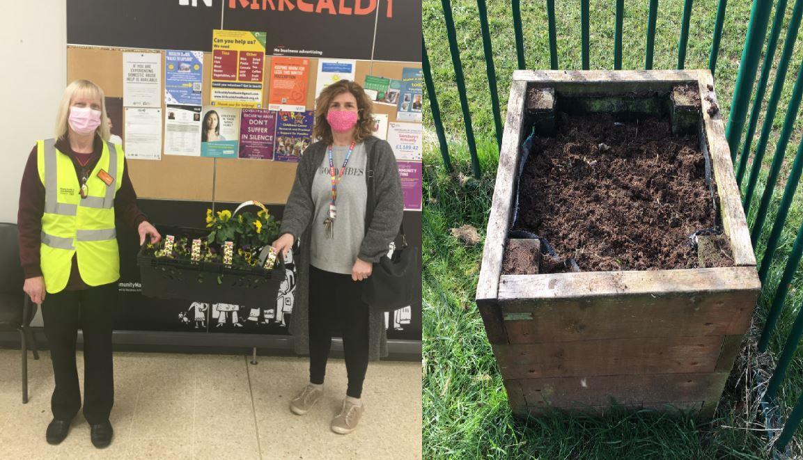 Volunteers 'deeply upset' after callous thieves steal plants from Fife support centre - Vimarsana News