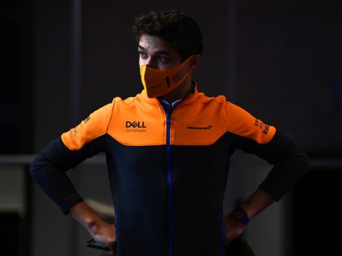 Lando Norris finished fifth at the Portuguese GP (Gabriel Buoys/AP)