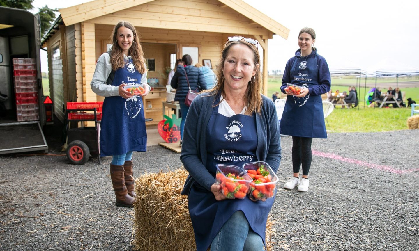 Customers toast berry good drive-through as pizza pops up at Angus farm - Vimarsana News