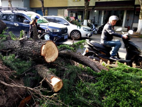 A fallen tree in Nantong (Xinhua News Agency/PA)