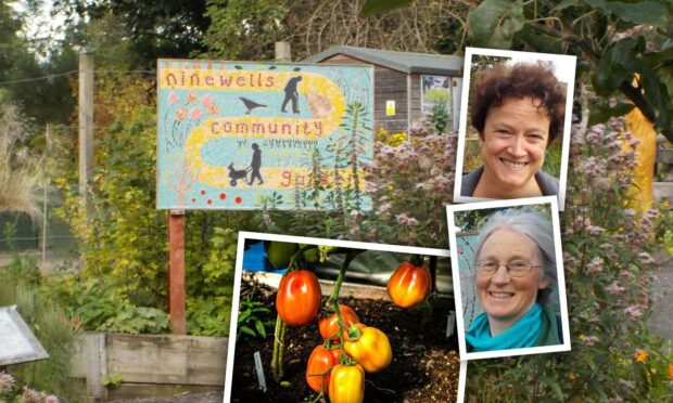 ‘People should come here’: Ninewells Community Garden is ‘countryside in Dundee’