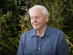 Sir David Attenborough (Jane Barlow/PA)