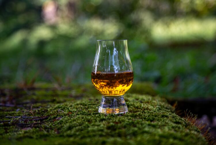 Whisky glass on forest moss