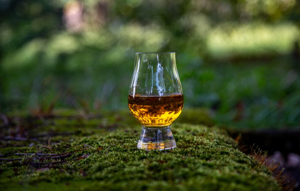 Whisky glass on forest moss