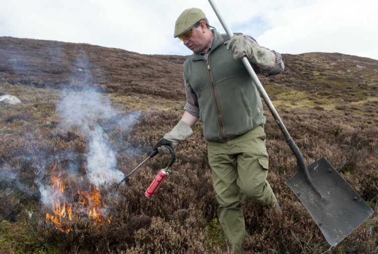 Controlled burning at Dunmaglass Estate