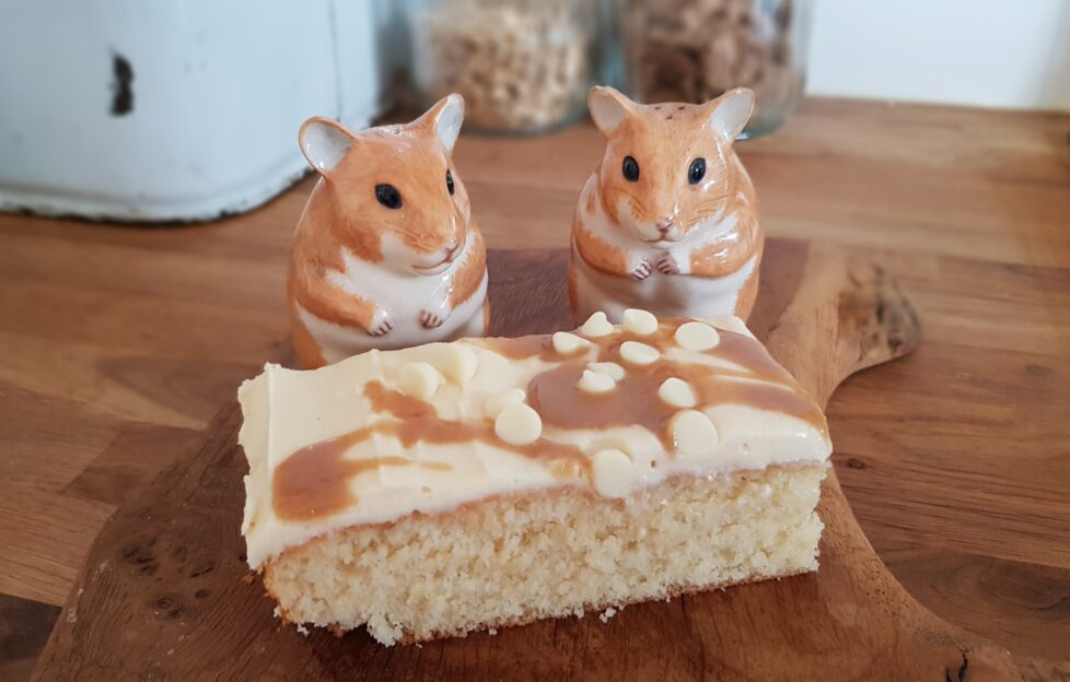 Roxy’s Coffee & Tea House in Oban launches baking book SF