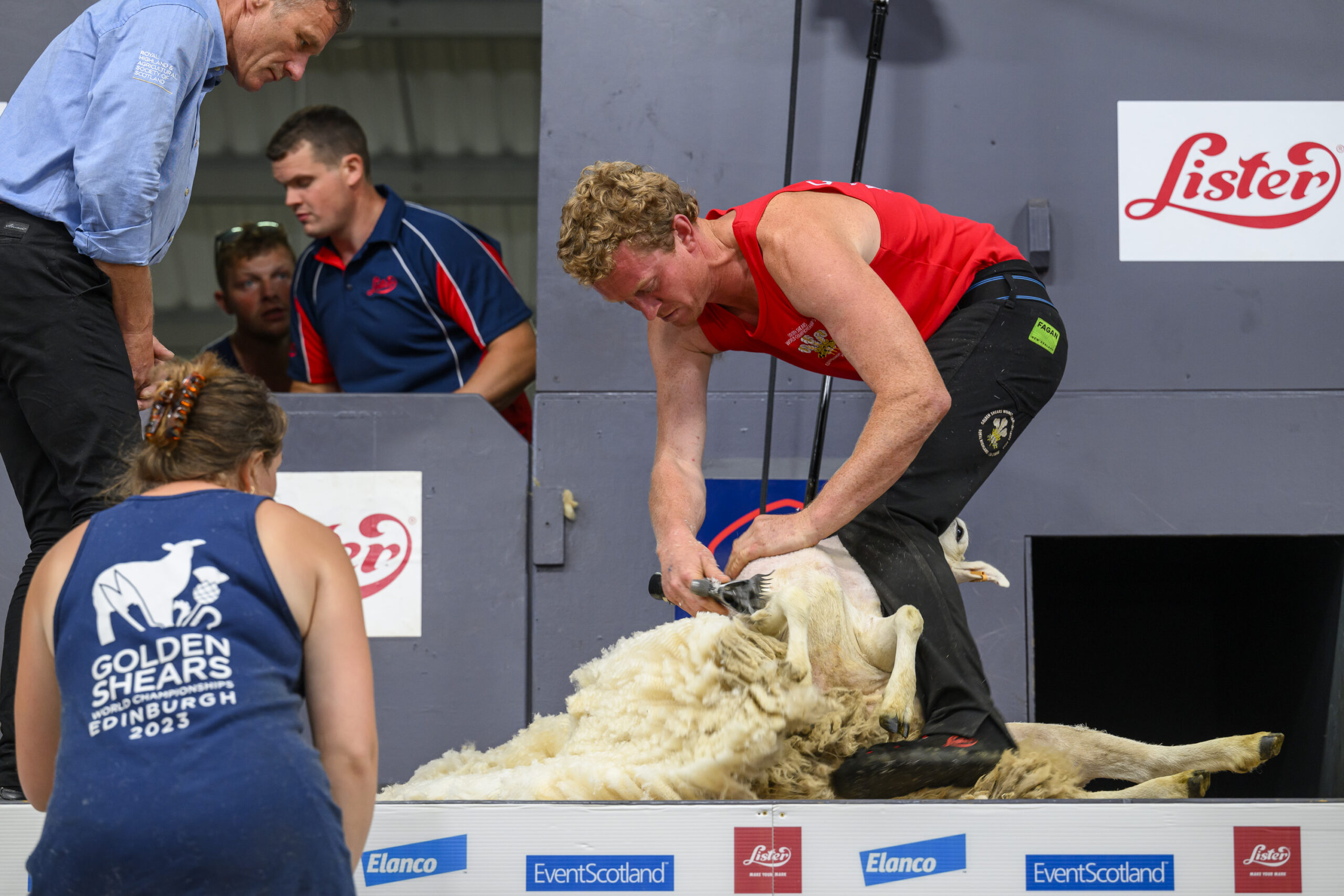 World sheep shearing champions crowned at Royal Highland Show ...