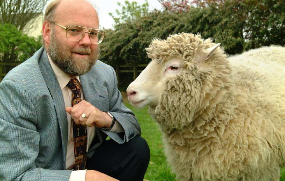 Scientist who cloned Dolly the sheep dies - Scottish Field