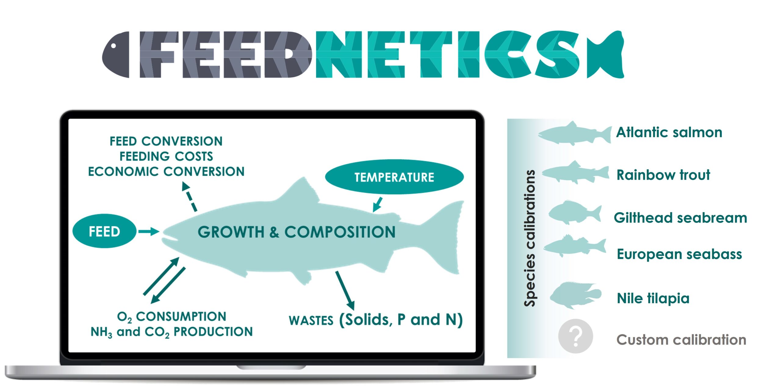 Nutrition insights – Fish Farmer Magazine