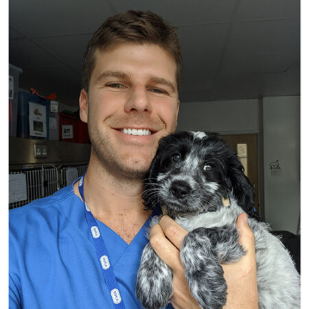 Vet Michael Lazaris provides tips on keeping your pet safe on fireworks night