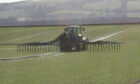 Spreading slurry on wheat at Baldoukie using an umbilical pipe.