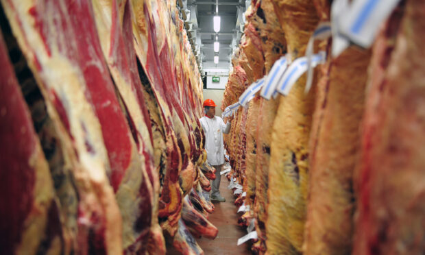 ABP employee inspects beef carcases in their meat processing plant in Ireland.