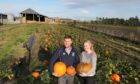 Angus Dowell has pursued many diversification opportunities at Cononsyth Farm, including growing pumpkins.