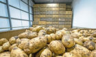 REPRESENTATIVE: GB Potatoes has so far failed to attract widespread support from producers and processors.