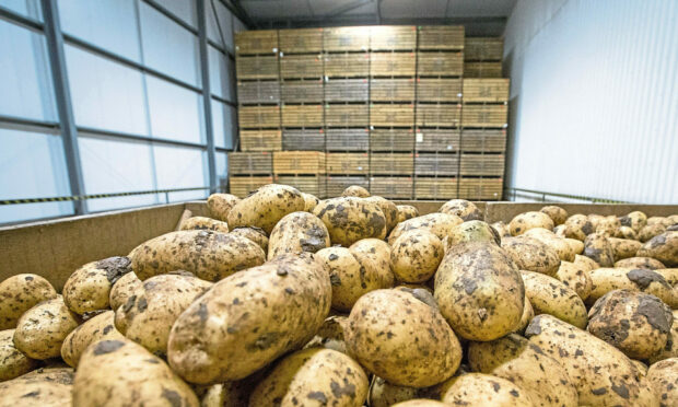 LAST CHANCE: Growers claim they are being badly served by AHDB Potatoes.