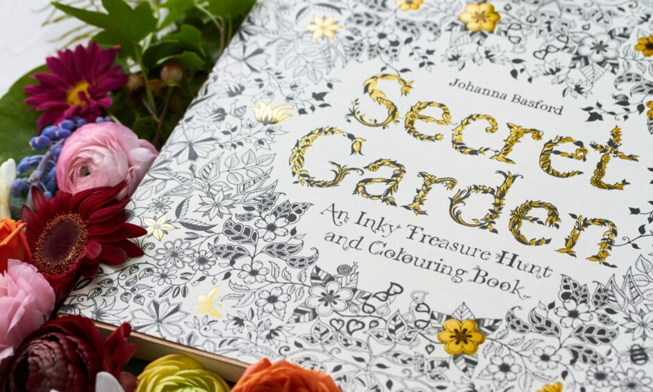Johanna Basford has made a series of colouring books for adults.