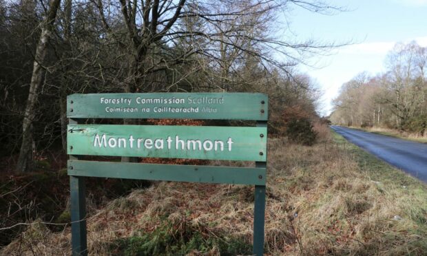 Montreathmont Forrest, near Brechin.
