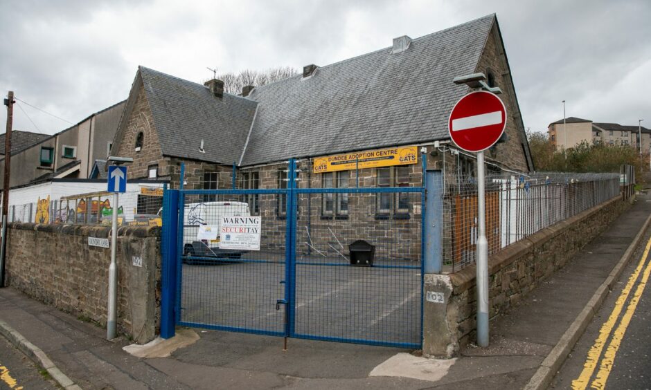 Petition launched to reopen Dundee's Cat Protection Centre