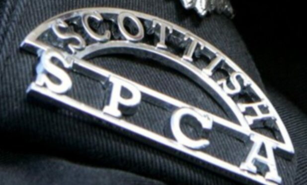 SSPCA officers descended on the property at MacDonald Crescent, Rattray