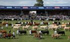 June's Royal Highland Showcase at Ingliston will see animals judged without spectators.