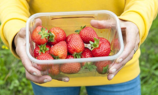 A person holding a punnet of strawberries outdoors