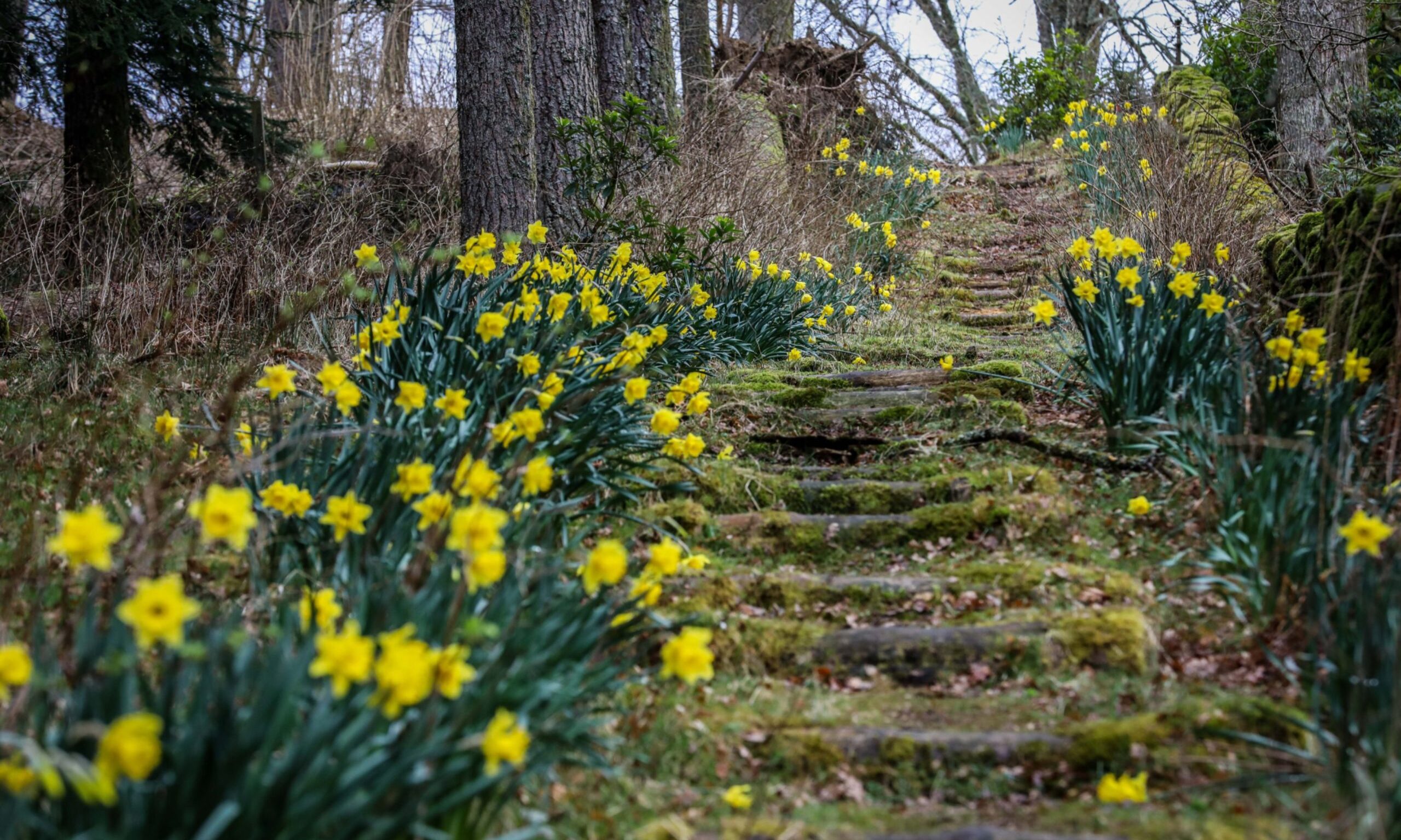 The poetry path at Corbenic Camphill Community.