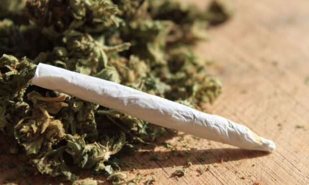 Cannabis cigarette