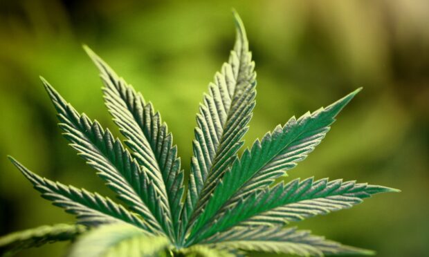 A new cannabis-based drug has been approved.