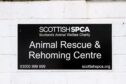 Dead cat found in Fife playpark with an appeal from the SSPCA for information