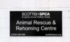 Dead cat found in Fife playpark with an appeal from the SSPCA for information