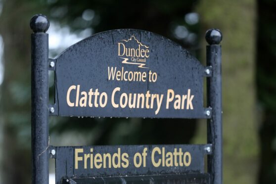 A host of improvements have been proposed at parks across Dundee