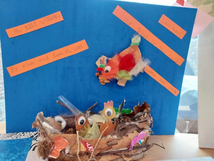 Litter Nest by Falkland Primary pupils
