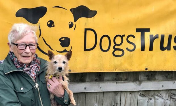 A foster carer with a dog in front of a Dogs Trust banner