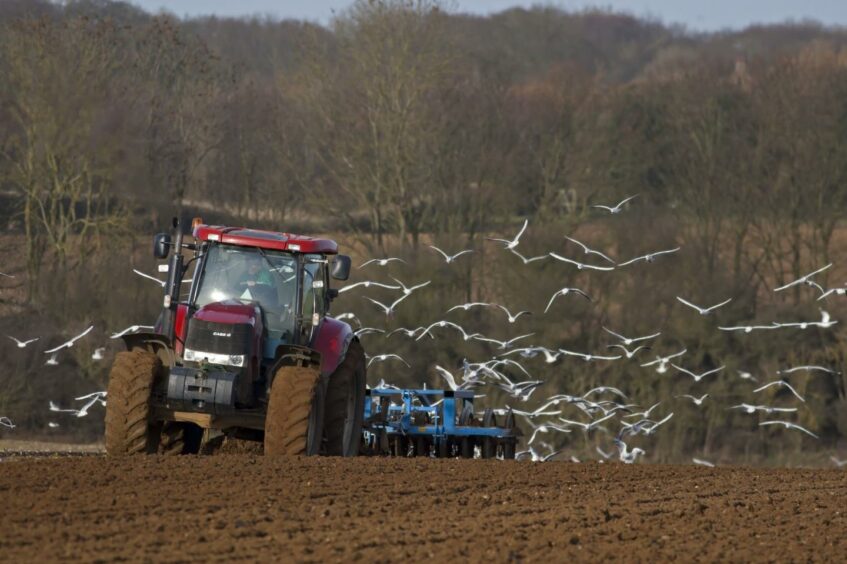 tractor ploughing a field with gulls following behind