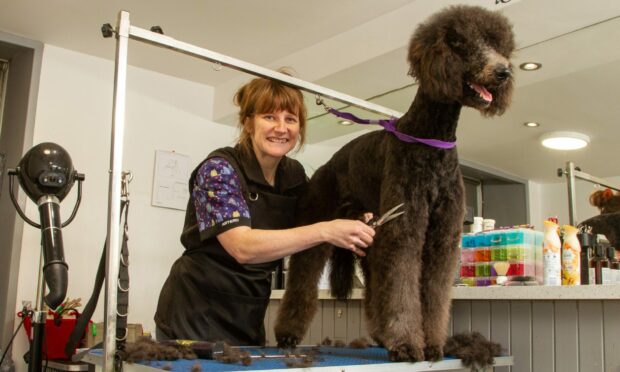 Dog spa owner Arlene Millar has been celebrated at the Women in Business Awards. Image: Mike Reid