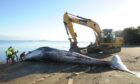 A digger helped pull the body ashore at Burntisland.