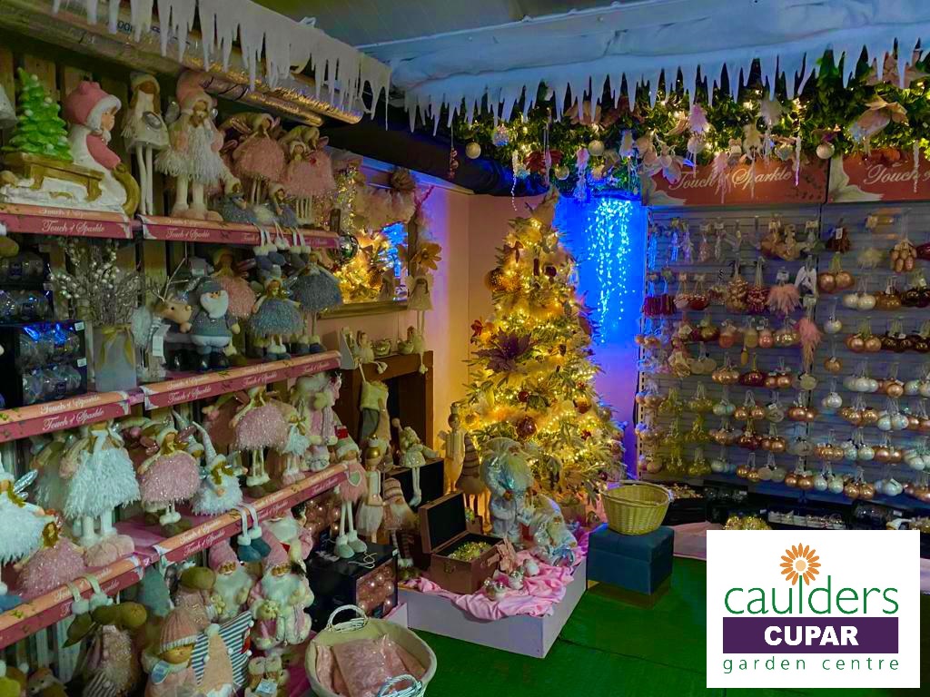 Caulders Cupar garden centre is one of the local businesses ready for this Christmas 2021