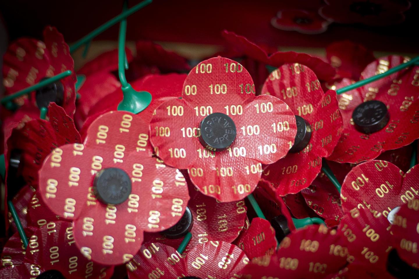 Poppies are sold to raise funds to support the Armed Forces community