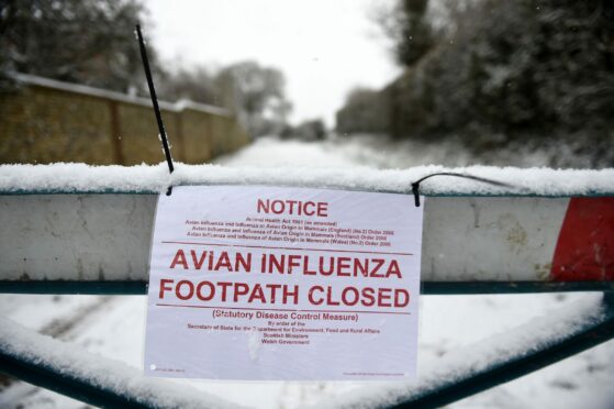 Bird flu warning sign.